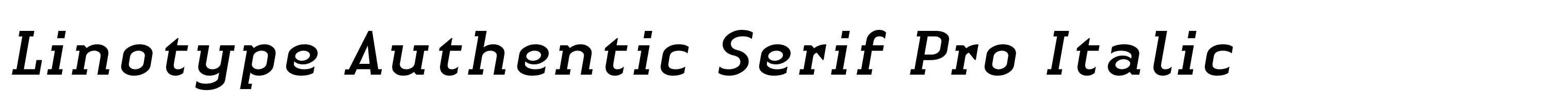Linotype Authentic Serif Pro Italic